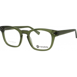  meineBrille 04-40160-02, Fernleaf