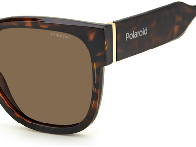 Polaroid Sonnenbrille Damen Polaroid PLD 6167/S 55 havanna Ansicht 3