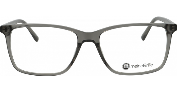 meineBrille 04-12010-04, Grau transparent glänzend - Ansicht 5