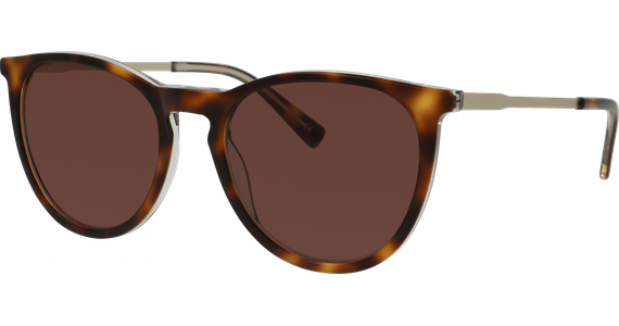 meineBrille 14-36040-02 Havanna transparent / Gold matt - Ansicht 3