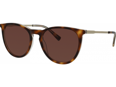  meineBrille 14-36040-02 Havanna transparent / Gold matt Ansicht 2