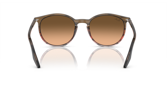 Ray-Ban RB2204 13953B - Ansicht 5