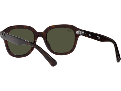 Ray-Ban Sonnenbrille Unisex Ray-Ban Erik RB4398 902/31 Ansicht 5