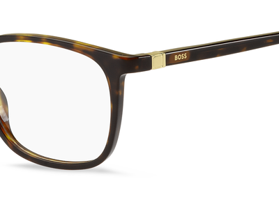 Hugo Boss Brille Herren Hugo Boss BOSS 1494 53 havanna Ansicht 3