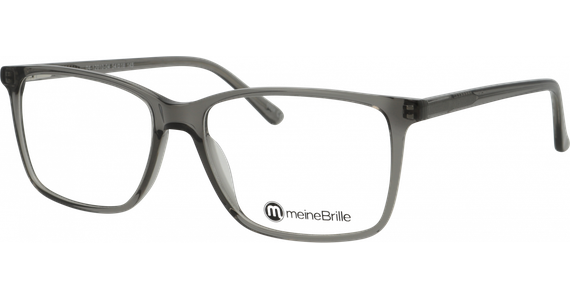 meineBrille 04-12010-04, Grau transparent glänzend - Ansicht 2