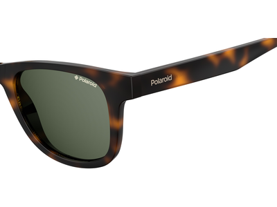 Polaroid Sonnenbrille Herren Polaroid PLD 1016/S/NEW 50 havanna Ansicht 3