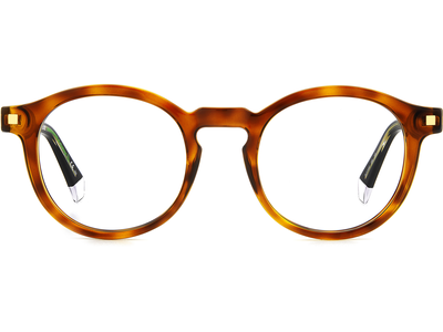 Polaroid Brille Herren Polaroid PLD D492 48 havanna Ansicht 2