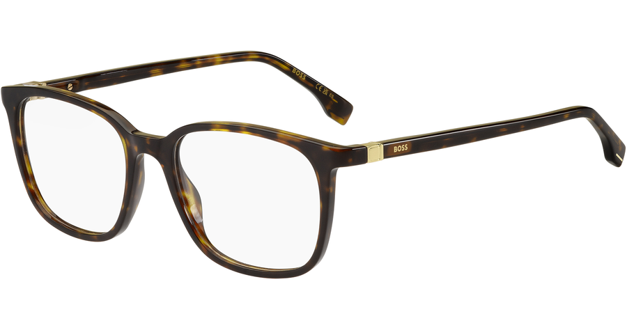 Hugo Boss Brille Herren Hugo Boss BOSS 1494 53 havanna Ansicht 1